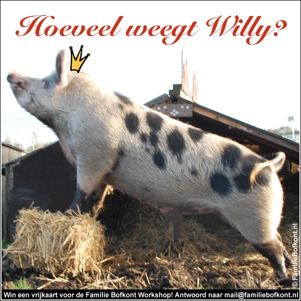 Hoeveel weegt Willy?