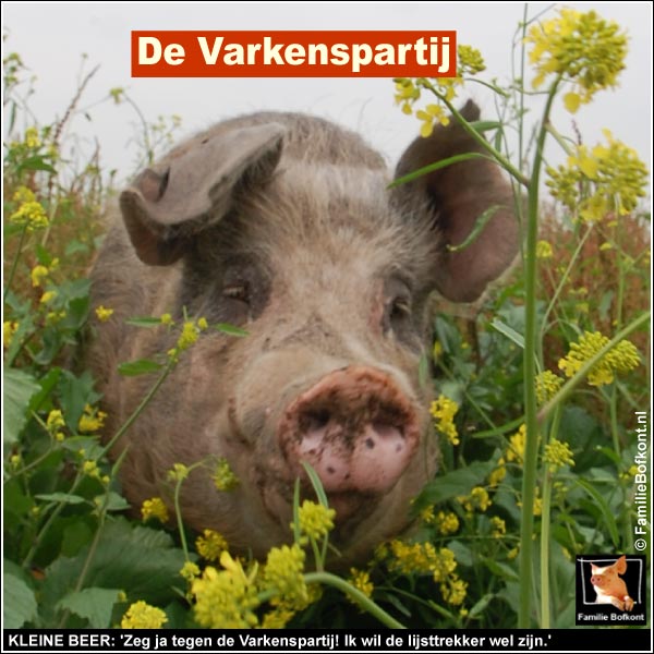 FOTO Kleine Beer 8 jaar - https://2019.bfknt.nl/20190426-wl-familie-bofkont-varken-kleine-beer-lijsttrekker-varkenspartij-600.jpg