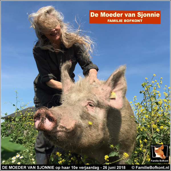 DE MOEDER VAN SJONNIE op haar 10e verjaardag - 26 juni 2018.