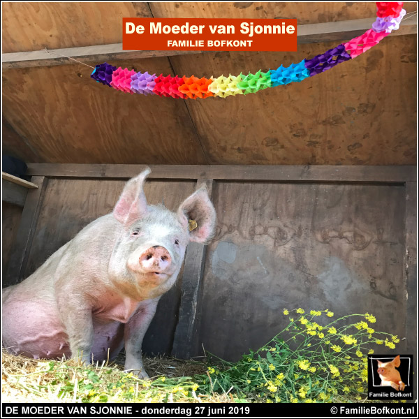 DE MOEDER VAN SJONNIE - donderdag 27 juni 2019