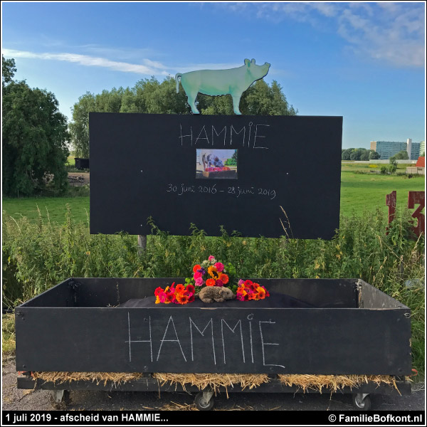 1 juli 2019 - afscheid van HAMMIE...