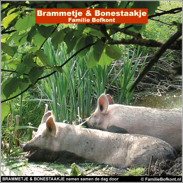 BRAMMETJE & BONESTAAKJE nemen samen de dag door