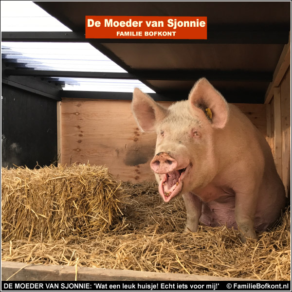 DE MOEDER VAN SJONNIE: 'Wat een leuk huisje! Echt iets voor mij!'