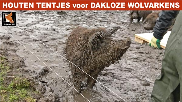https://2019.bfknt.nl/20191215-Bofkont-Acties-2-Handen-uit-de-mouwen-banner-600.jpg