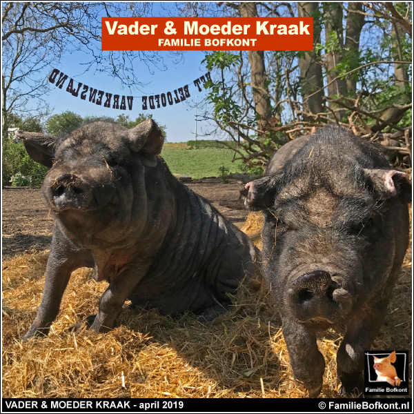 VADER & MOEDER KRAAK - april 2019
