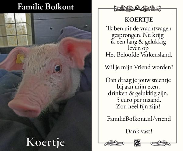 https://2019.bfknt.nl/Visitekaartje-Koertje.jpg