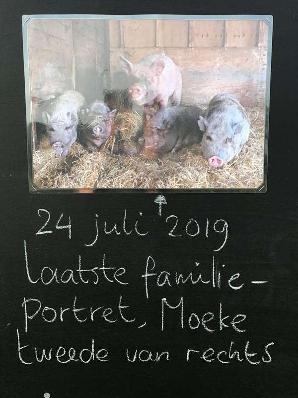 https://2019.bfknt.nl/moeke-laatste-familieportret.jpg